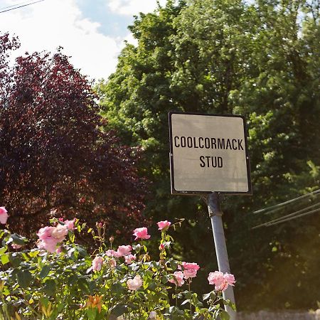 Coolcormack Stud B&B Dungarvan  Dış mekan fotoğraf