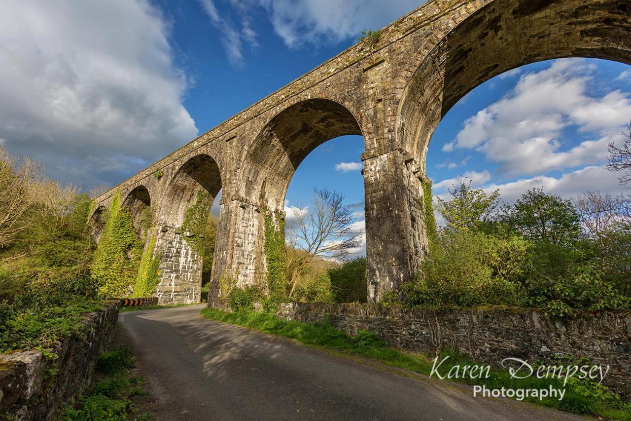 Coolcormack Stud B&B Dungarvan  Dış mekan fotoğraf