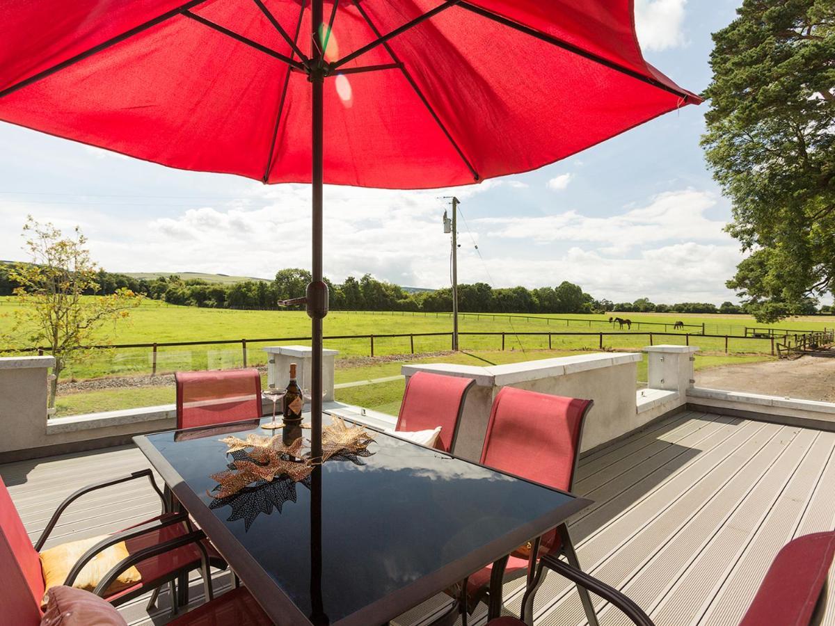 Coolcormack Stud B&B Dungarvan  Dış mekan fotoğraf