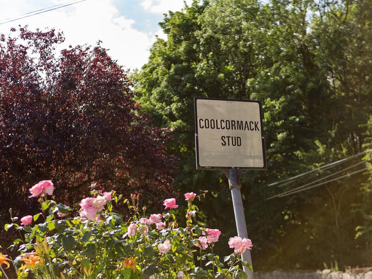 Coolcormack Stud B&B Dungarvan  Dış mekan fotoğraf